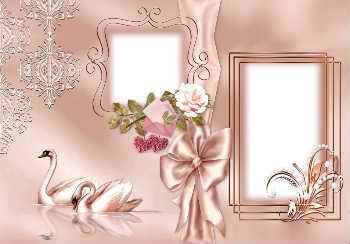 over 430 free wedding