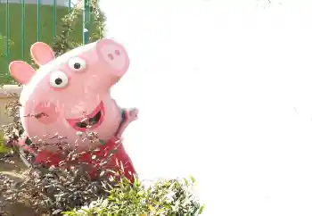 Photo effect from category Different for children № 101439