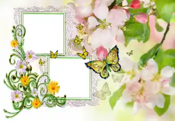 An inscription on the frame: Congratulations!