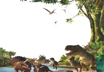 Photo effect from category Different for children № 153254 Photo effect from category Different for children № 153254