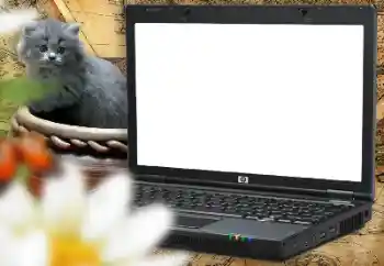 Photo effect from category Different for children № 157214 Photo effect from category Different for children № 157214