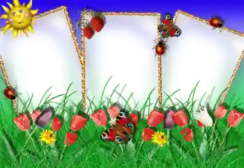 Photo effect from category Different for children № 15952 Photo effect from category Different for children № 15952