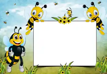 Photo effect from category Different for children № 205448 Photo effect from category Different for children № 205448