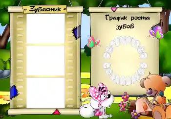 An inscription on the frame: Schedule of teething An inscription on the frame: Schedule of teething