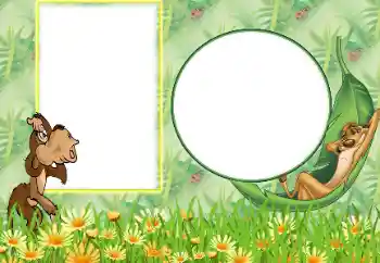 Photo effect from category Different for children № 27740 Photo effect from category Different for children № 27740