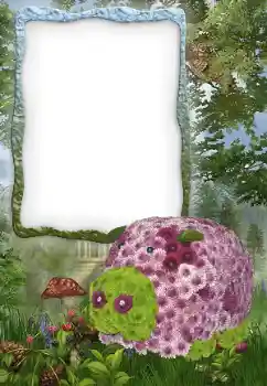 Photo effect from category Different for children № 34977 Photo effect from category Different for children № 34977