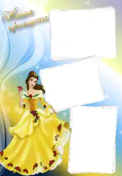 An inscription on the frame: Princess