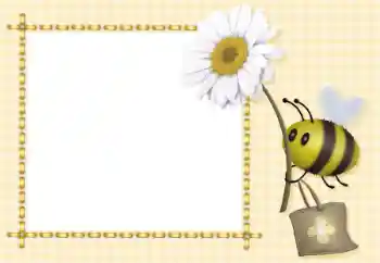 Photo effect from category Different for children № 93368 Photo effect from category Different for children № 93368