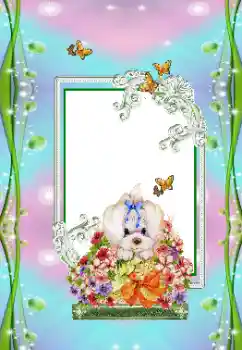 Photo effect from category Children's holidays № 151673 Photo effect from category Children's holidays № 151673