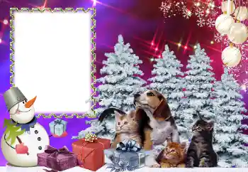 Photo effect from category Children's holidays № 178291 Photo effect from category Children's holidays № 178291