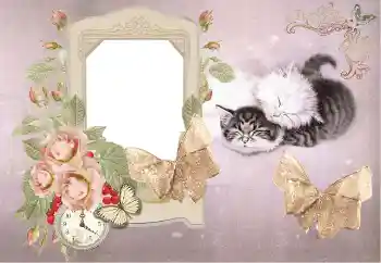 Photo effect from category Bathing, eating, sleeping № 153184 Photo effect from category Bathing, eating, sleeping № 153184