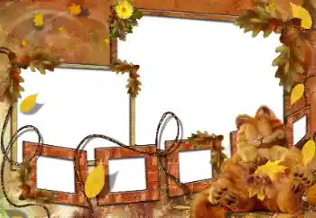 Photo effect from category Bathing, eating, sleeping № 160682 Photo effect from category Bathing, eating, sleeping № 160682