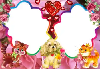 Photo effect from category My toys and pets № 113000