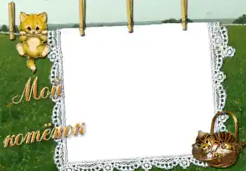 An inscription on the frame: Мой котенок An inscription on the frame: Мой котенок