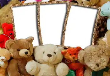 Photo effect from category My toys and pets № 6505 Photo effect from category My toys and pets № 6505