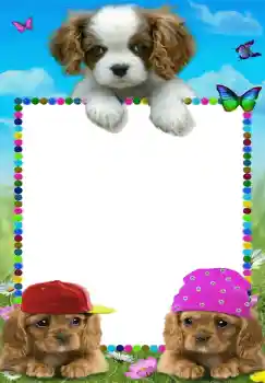 Photo effect from category My toys and pets № 68642