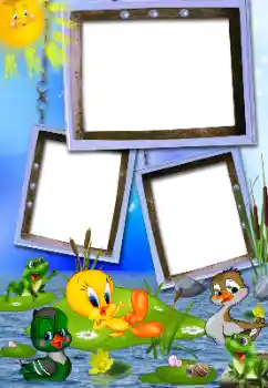 Photo effect from category On the nature № 104076 Photo effect from category On the nature № 104076