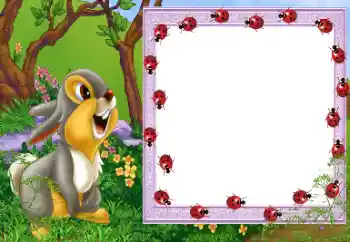 Photo effect from category On the nature № 112656 Photo effect from category On the nature № 112656