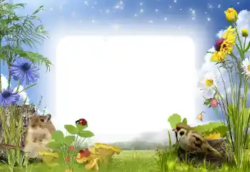 Photo effect from category On the nature № 141000 Photo effect from category On the nature № 141000