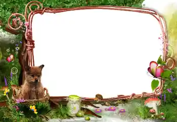 Photo effect from category On the nature № 142331 Photo effect from category On the nature № 142331