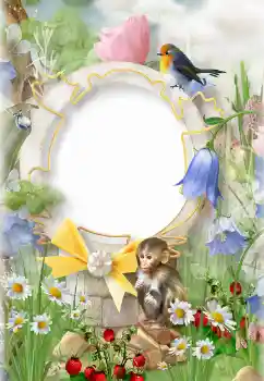 Photo effect from category On the nature № 152975 Photo effect from category On the nature № 152975