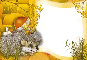 Photo effect from category On the nature № 166562 Photo effect from category On the nature № 166562