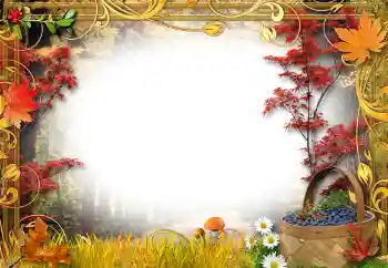 Photo effect from category On the nature № 192842 Photo effect from category On the nature № 192842