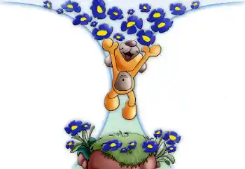 Photo effect from category On the nature № 26425 Photo effect from category On the nature № 26425