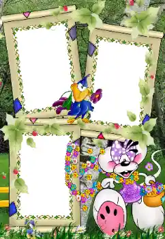 Photo effect from category On the nature № 39022 Photo effect from category On the nature № 39022