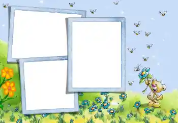 Photo effect from category On the nature № 45680 Photo effect from category On the nature № 45680