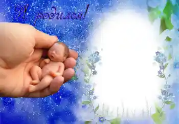 An inscription on the frame: I was born! An inscription on the frame: I was born!