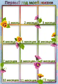 An inscription on the frame: 1 year An inscription on the frame: 1 year