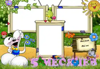 An inscription on the frame: 5 month An inscription on the frame: 5 month