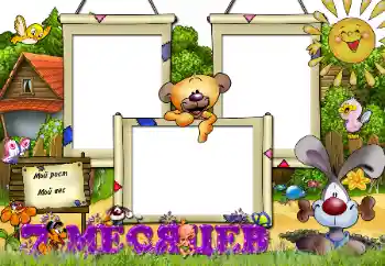 An inscription on the frame: 7 month An inscription on the frame: 7 month