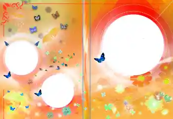 Photo effect from category DVD covers № 145141