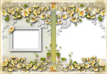 An inscription on the frame: Birthday An inscription on the frame: Birthday