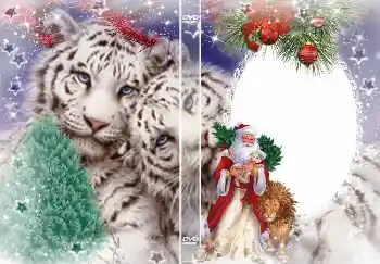 An inscription on the frame: New Year An inscription on the frame: New Year