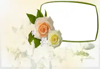 An inscription on the frame: INVITATION ON ... An inscription on the frame: INVITATION ON ...