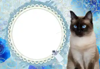 An inscription on the frame: 2026 An inscription on the frame: 2026