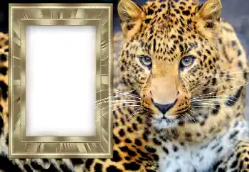 An inscription on the frame: 2026 An inscription on the frame: 2026