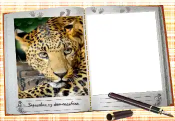 An inscription on the frame: 2026 An inscription on the frame: 2026