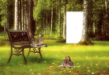 An inscription on the frame: 2026 An inscription on the frame: 2026