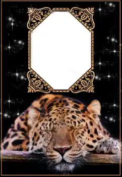 An inscription on the frame: 2026 An inscription on the frame: 2026