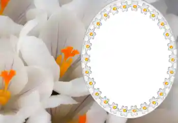 An inscription on the frame: 2026 An inscription on the frame: 2026