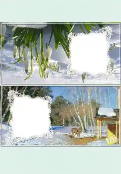 Photo effect from category Desktop № 4524