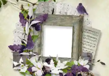 Photo effect from category Different № 100112 Photo effect from category Different № 100112