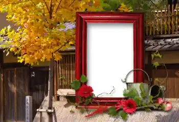 Photo effect from category Different № 100114 Photo effect from category Different № 100114