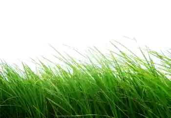 Photo effect from category Different № 101116 Photo effect from category Different № 101116