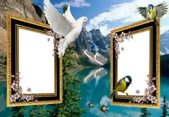 Photo effect from category Different № 101225 Photo effect from category Different № 101225