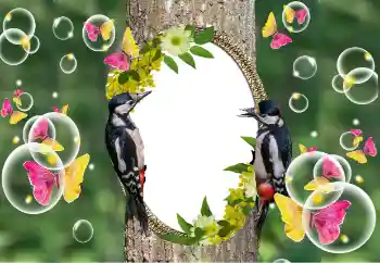 Photo effect from category Different № 101320 Photo effect from category Different № 101320